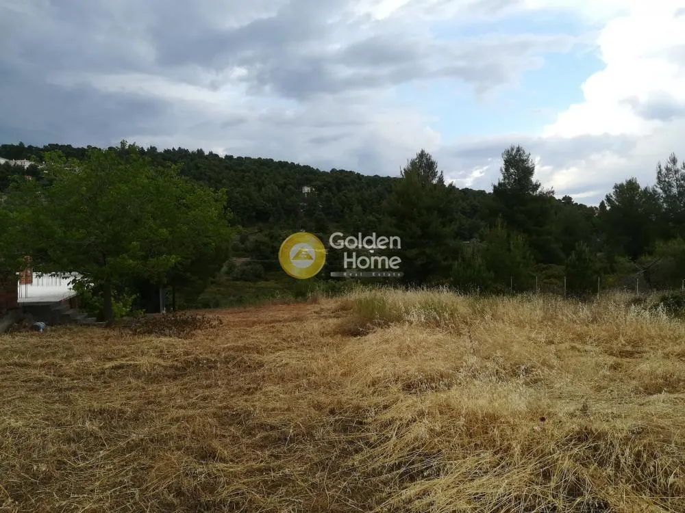 Aed - Buildable Plot with Sea View in Theologos