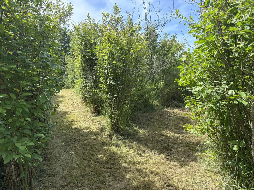 Jardin - Fermette avec deux logements et jardin à Laféline