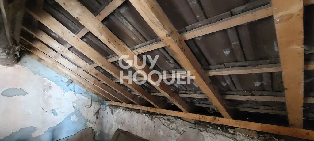 Toad - Two-Unit Property with Renovation Potential in Hérisson-sur-Amby