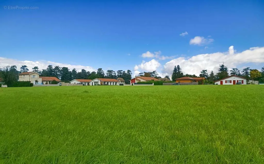Jardin - Terrain Constructible avec Vue Campagne à Labastide-Villefranche