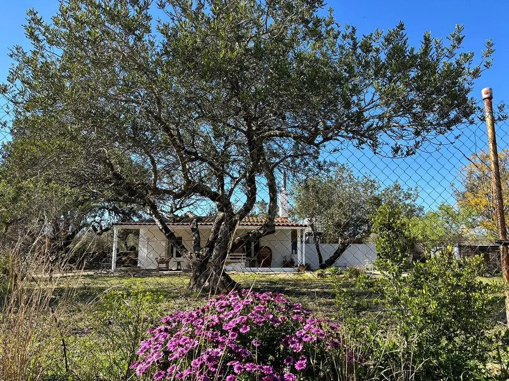Jardin - Rustic Cottage with Mediterranean Garden in Mont-Roig