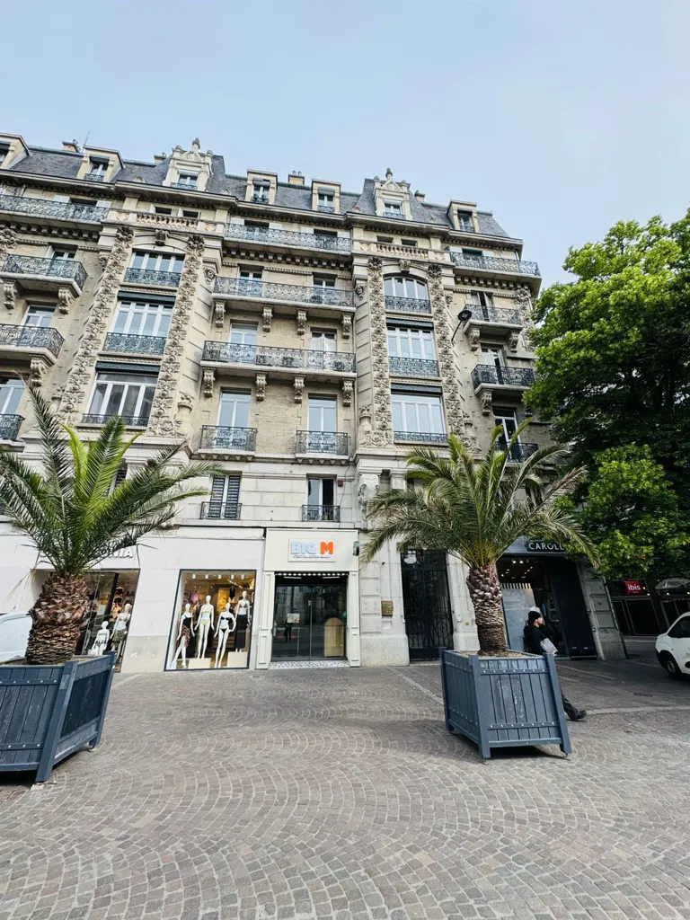 Välivaade - Haussmannian Flat in Grenoble Centre