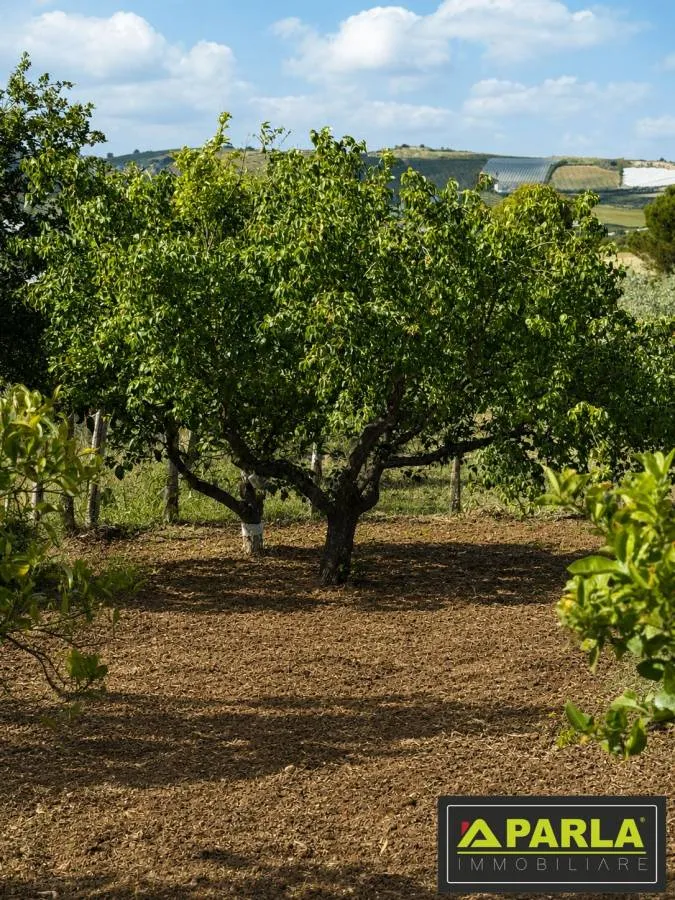 Giardino - Villa with Panoramic View in Canicattì