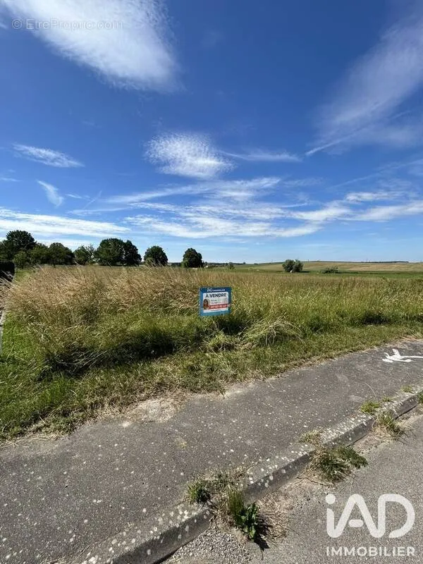Aed - 1000 m² Plot in Hazembourg