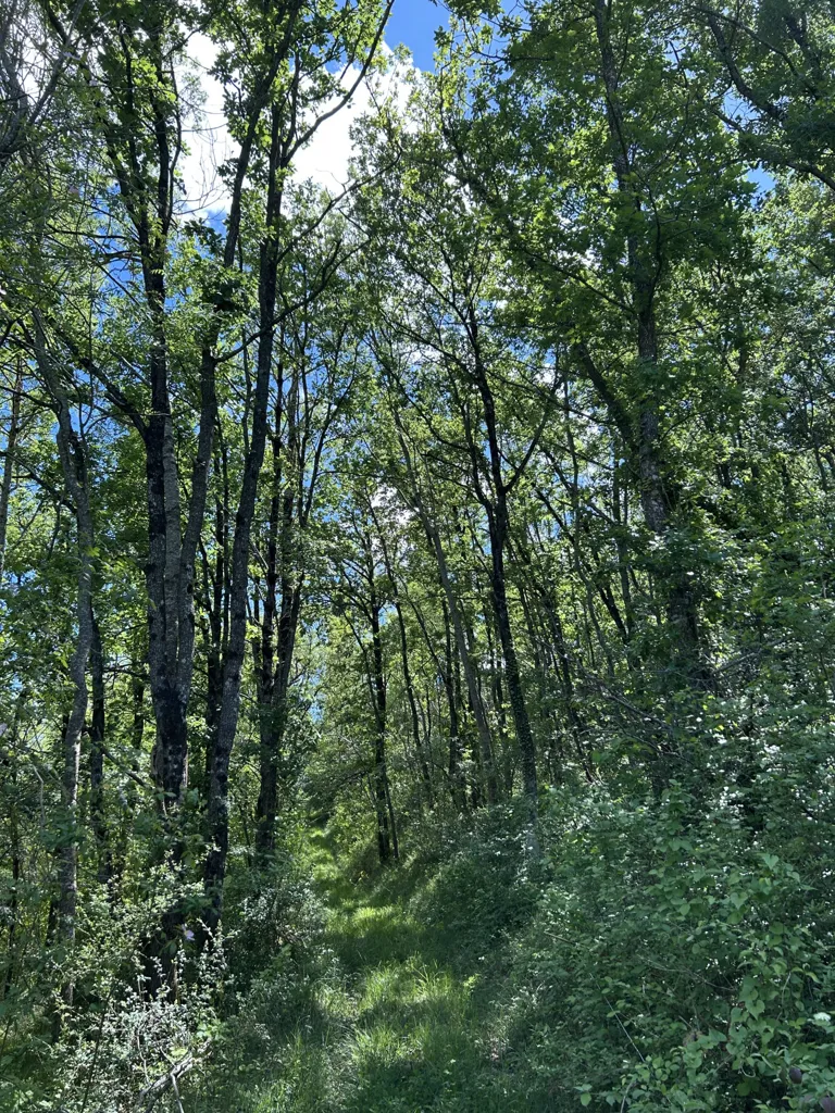 Jardin - Domaine de Charme avec Piscine dans un Cadre Naturel