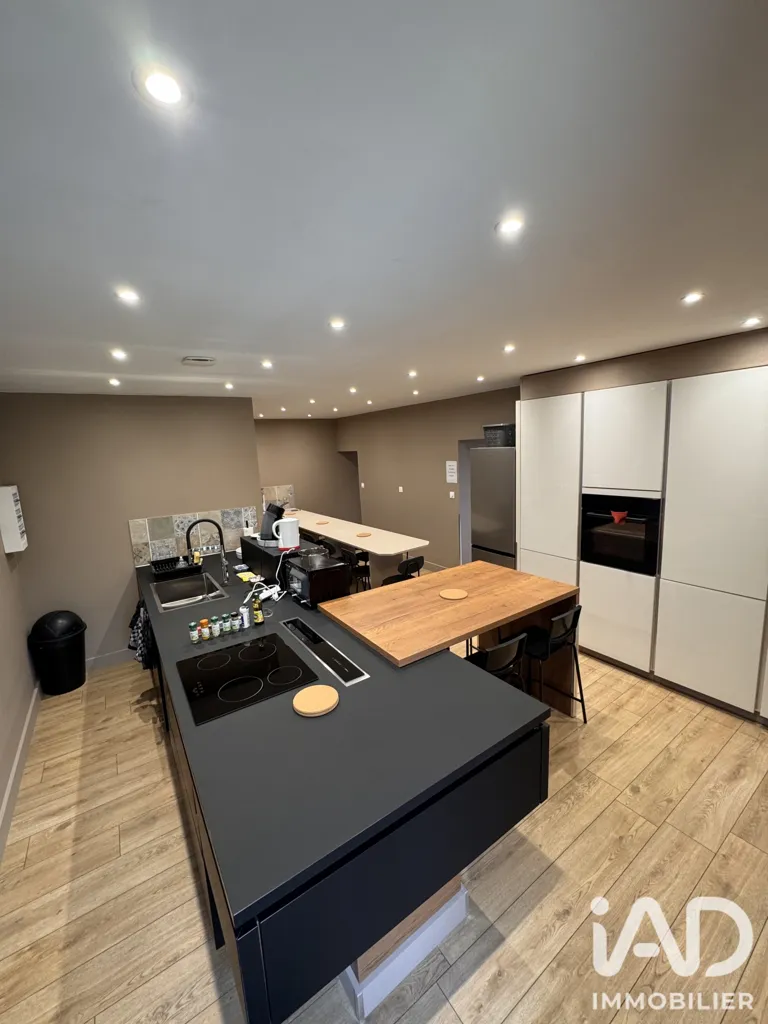 Kitchen - Fully Renovated Rental Building in Dompierre-sur-Besbre