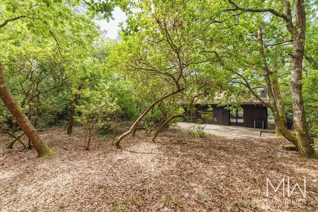 Jardin - Villa Luxueuse avec Jardin à Lège-Cap-Ferret