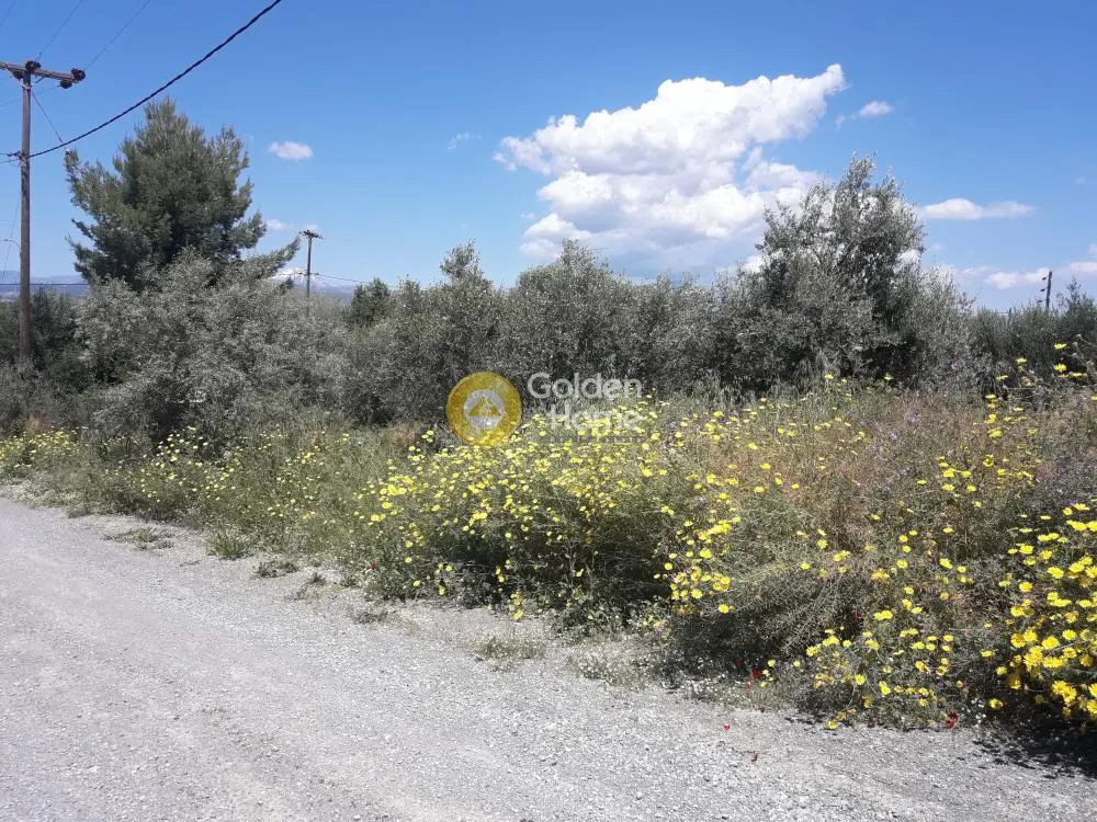 Aed - Seafront Plot with Potential in Dilessi