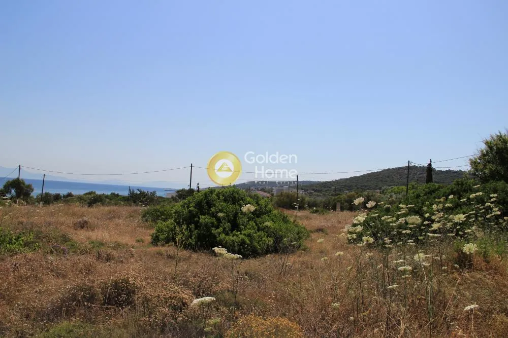 Aed - Buildable Plot with Sea View in Vathy, Aegina