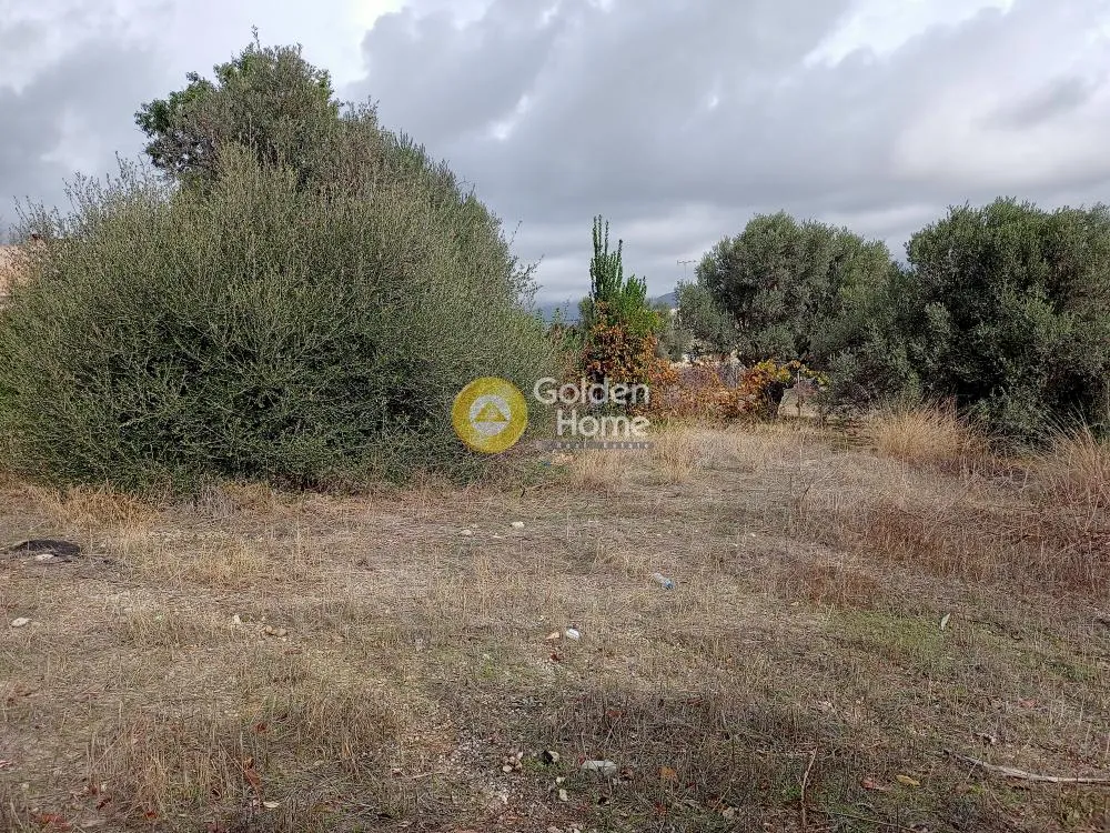 Jardin - Buildable Plot with Sea View in Vóros