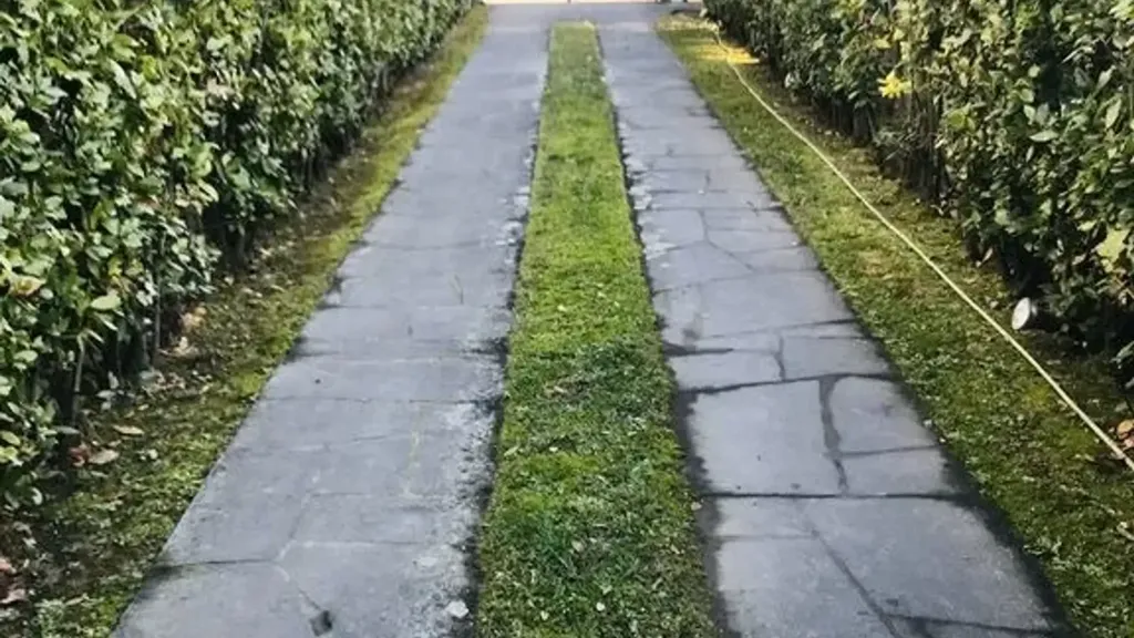 Extérieur - Duplex Villa with Garden in Forte Dei Marmi