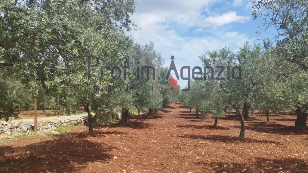 Aed - Rustic Property with Olive Grove in Carovigno