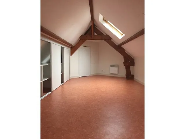 Toad - 2-Bedroom Apartment in Saumur Centre
