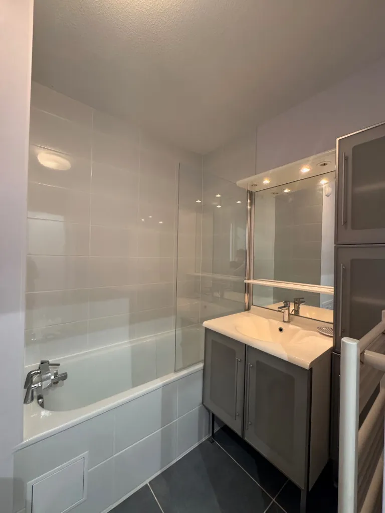 Vannitoad - 1-Bedroom Apartment in Toulouse