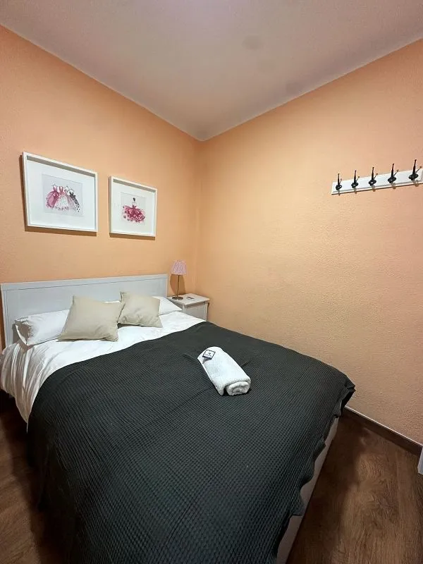 Magamistoad - 7-Bedroom Flat with Terrace in Madrid Centre
