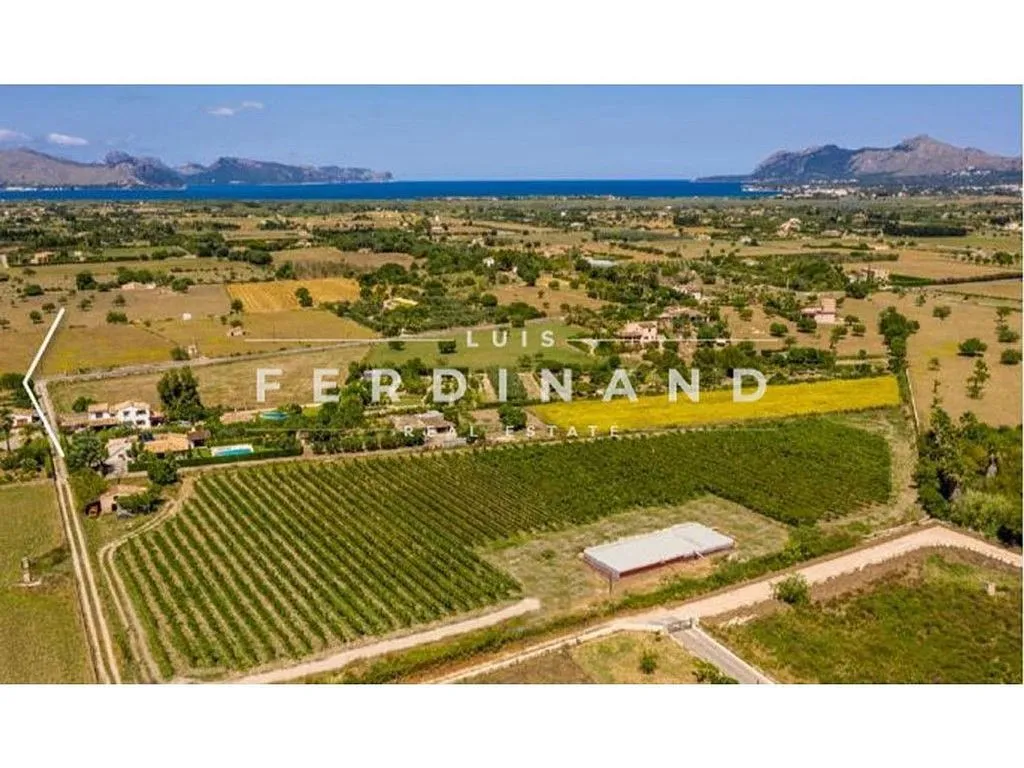 Õhuvaade - Luxury House with Vineyard in Pollença