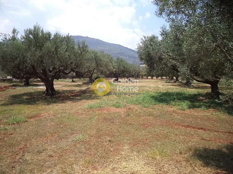 Aed - Plot with Mountain View in Akra, Sylibainiotika