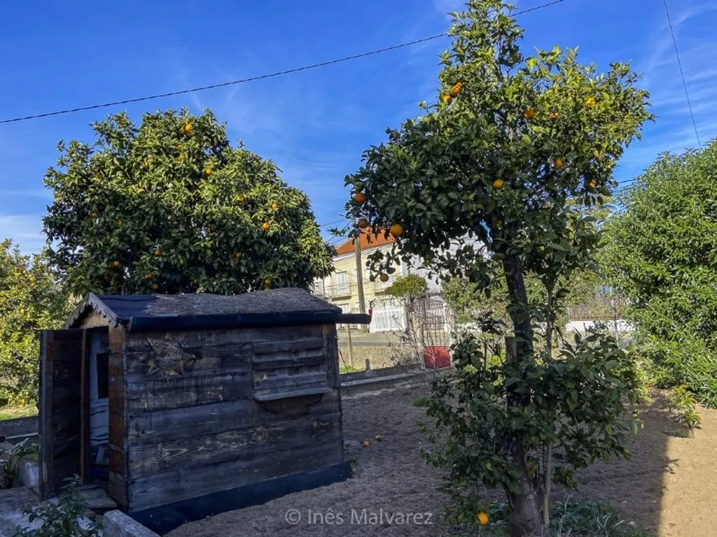 Aed - Luxury Villa with Renovation Potential in Grândola