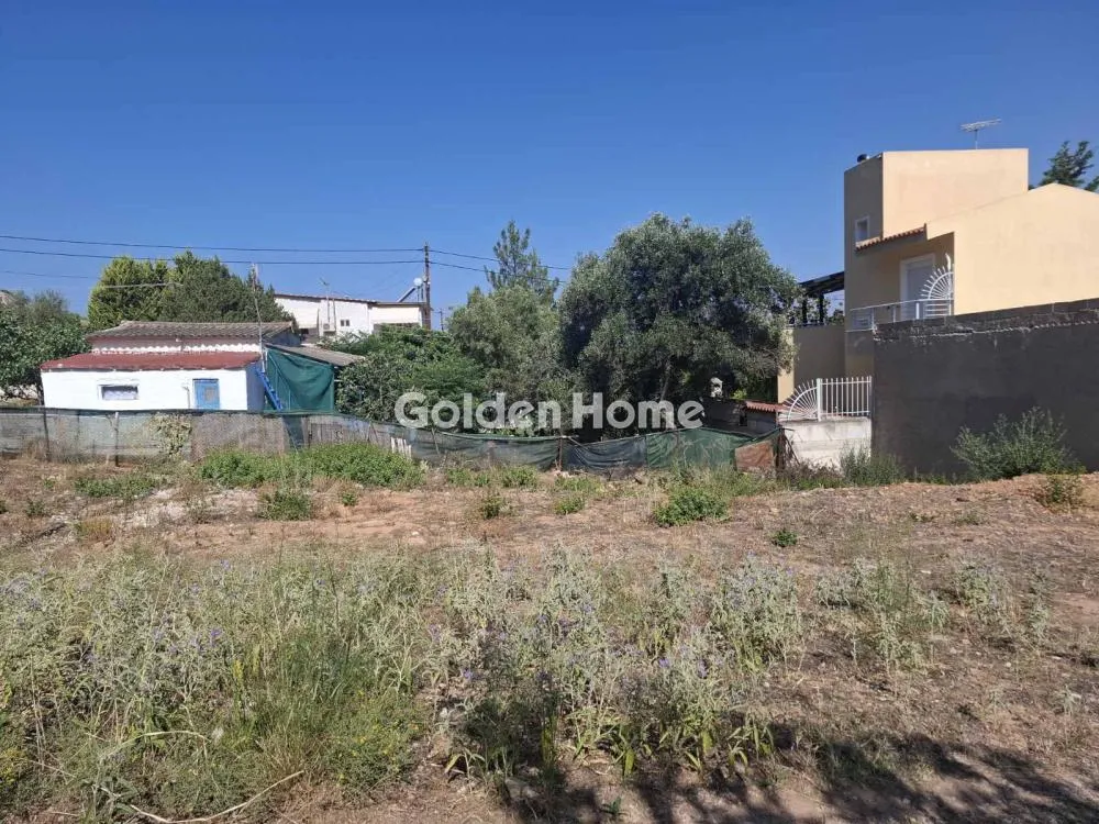 Aed - Plot with Sea View in Salamina - Xeno