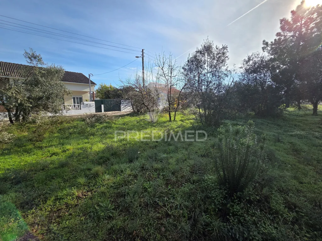 Aed - Urban Plot with Construction Permit in Ribatejo