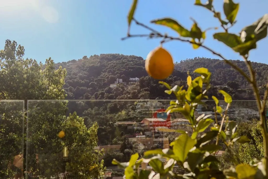 Jardin - Appartement Luxueux avec Terrasse à Menton