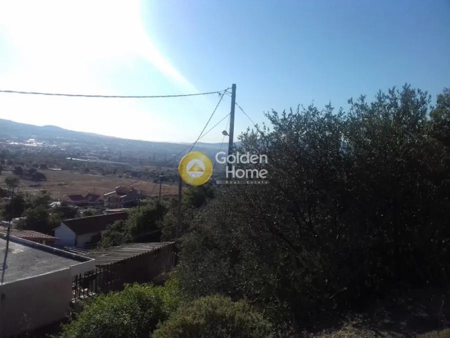 Aed - Agricultural Plot with Olive Trees in Menidi