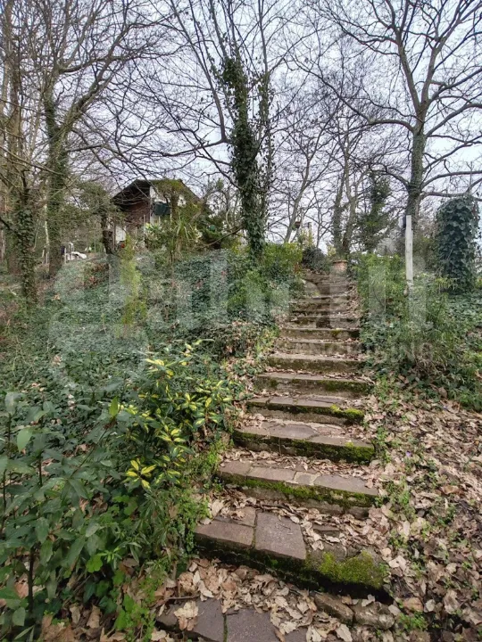 Toad - Rustic House with Garden in Collesalvetti
