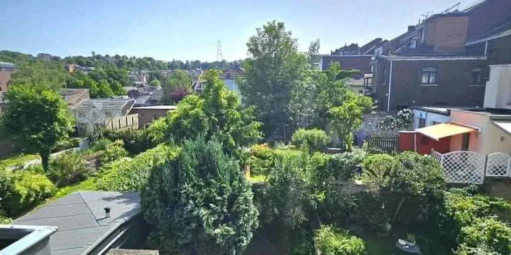 Aed - Victorian Mansion in Liège