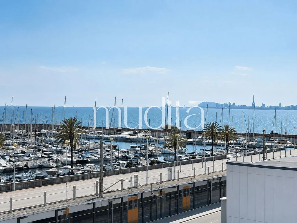 terrace_patio