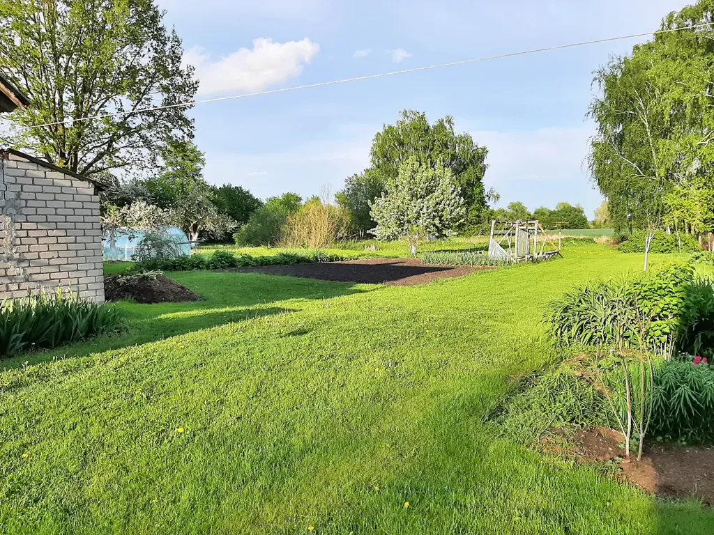 Garden - Cottage with Garden in Joniškis District