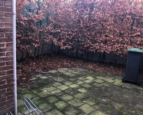Jardin - Furnished Room in Sittard Centre