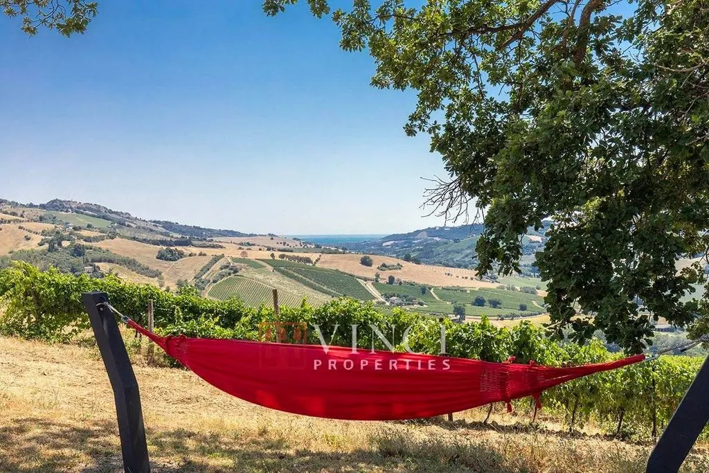 Aed - Rustic Casale with Pool in Montefiore dell'Aso
