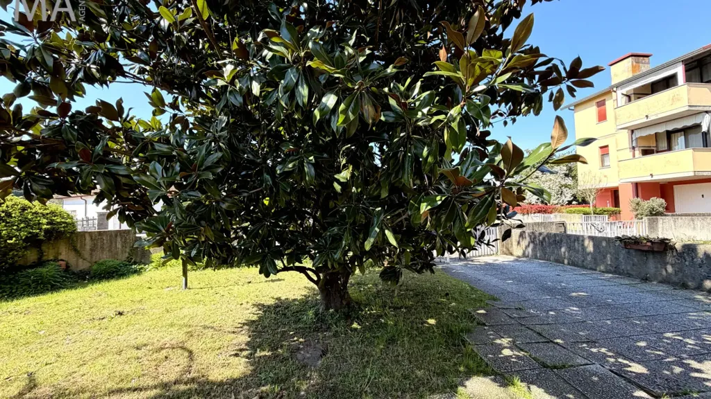 Aed - Terraced Villa with Garden in Mesola