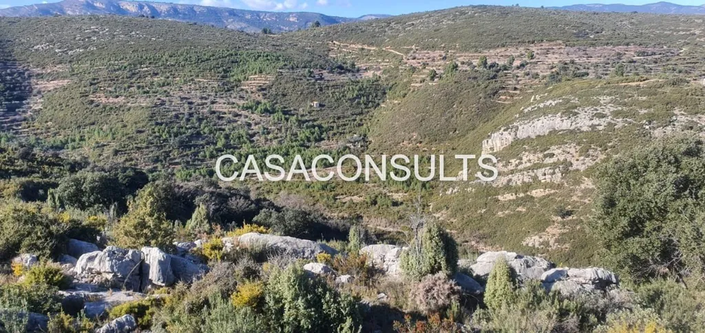 Rustic Plots with Cistern in Lucena del Cid