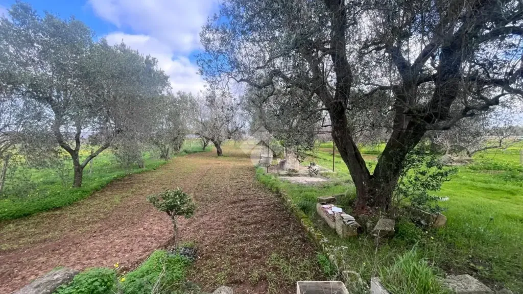 Garden - Rustic Villa with Garden in Mesagne