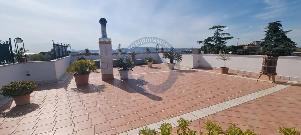 terrace_patio