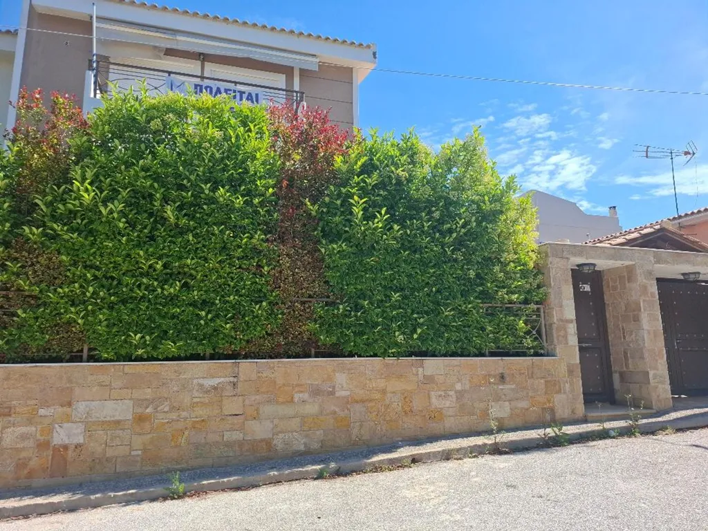 Esterno - Detached House with Garden in Semi-Basement