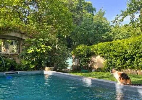 Piscine - Maison 7 pièces à Saint-Remy-De-Provence