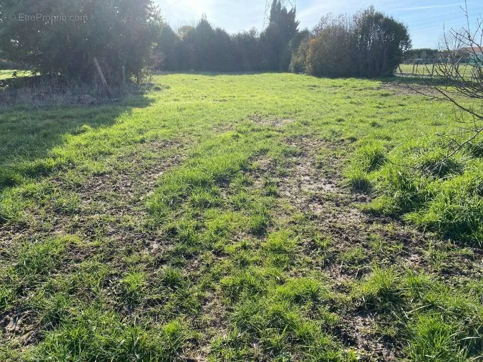 Aed - Buildable Plot with Garden in Rochefort