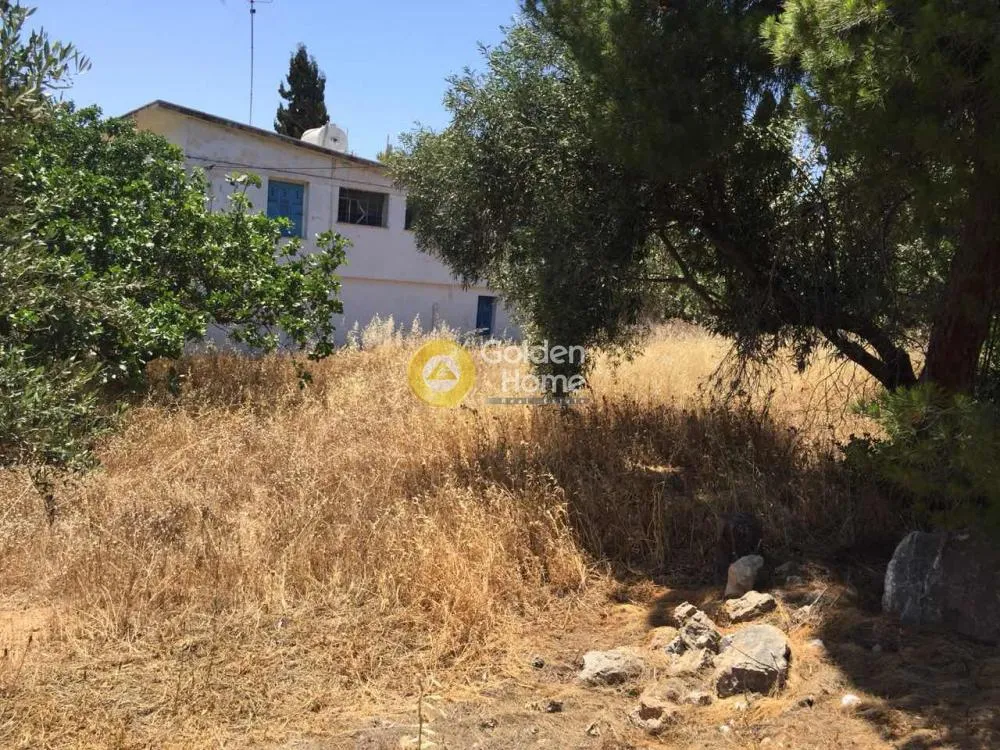 Giardino - Villa with Garden in Eastern Attica