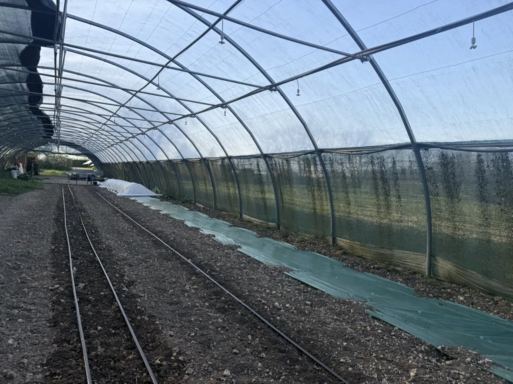 Pièces - Domaine Éco-Responsable avec Activité Locative à Bourg-de-Visa