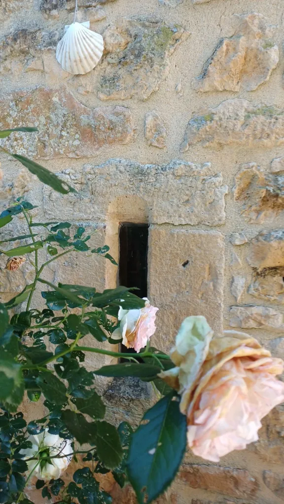 Extérieur - Demeure du 18ème avec Piscine près de Thenon