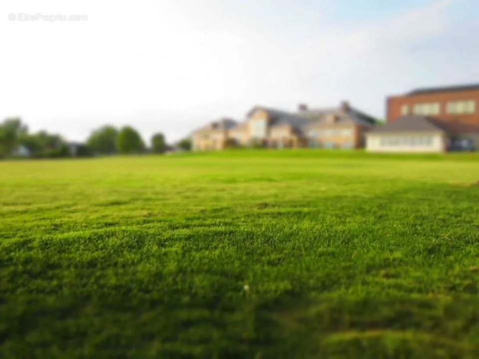 Aed - Large Plot with Forest Edge in Valmondois