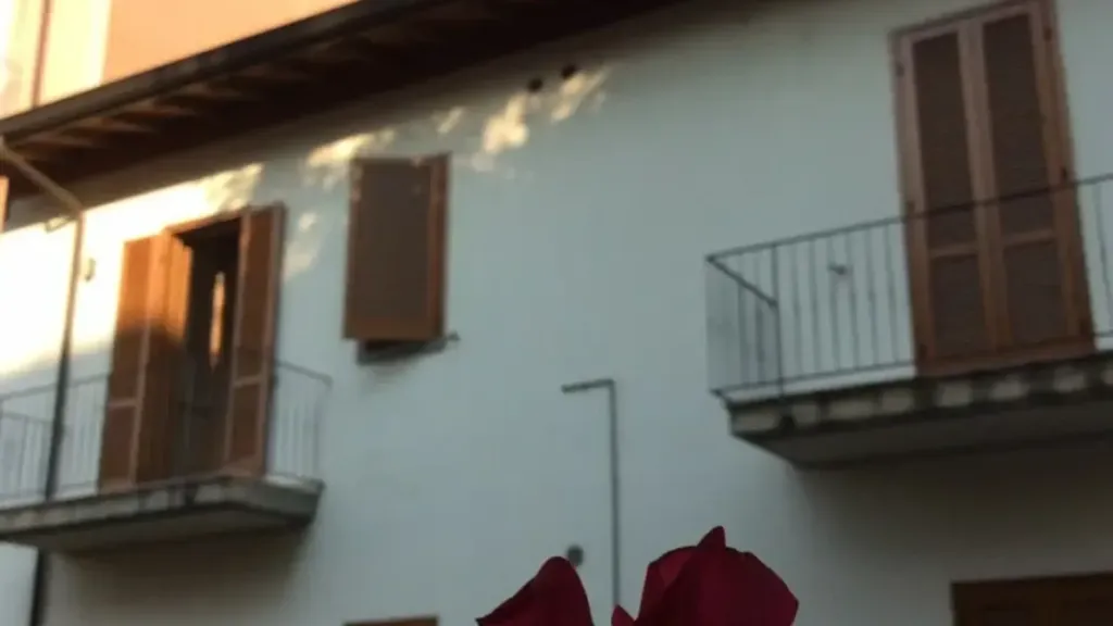 Extérieur - Apartment with Cellar in Piacenza