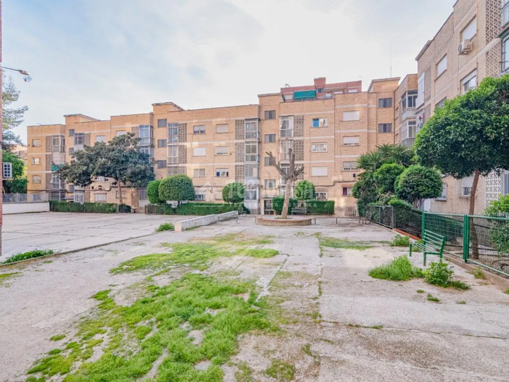 Jardin - Four-Bedroom Flat with Terrace in Cartuja