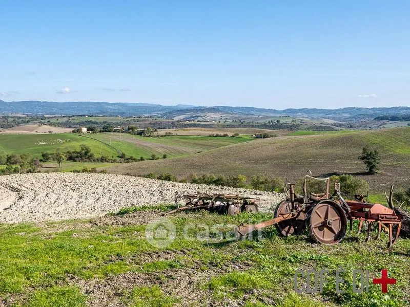 Garden - Rustic Casale with Panoramic Views in Scansano