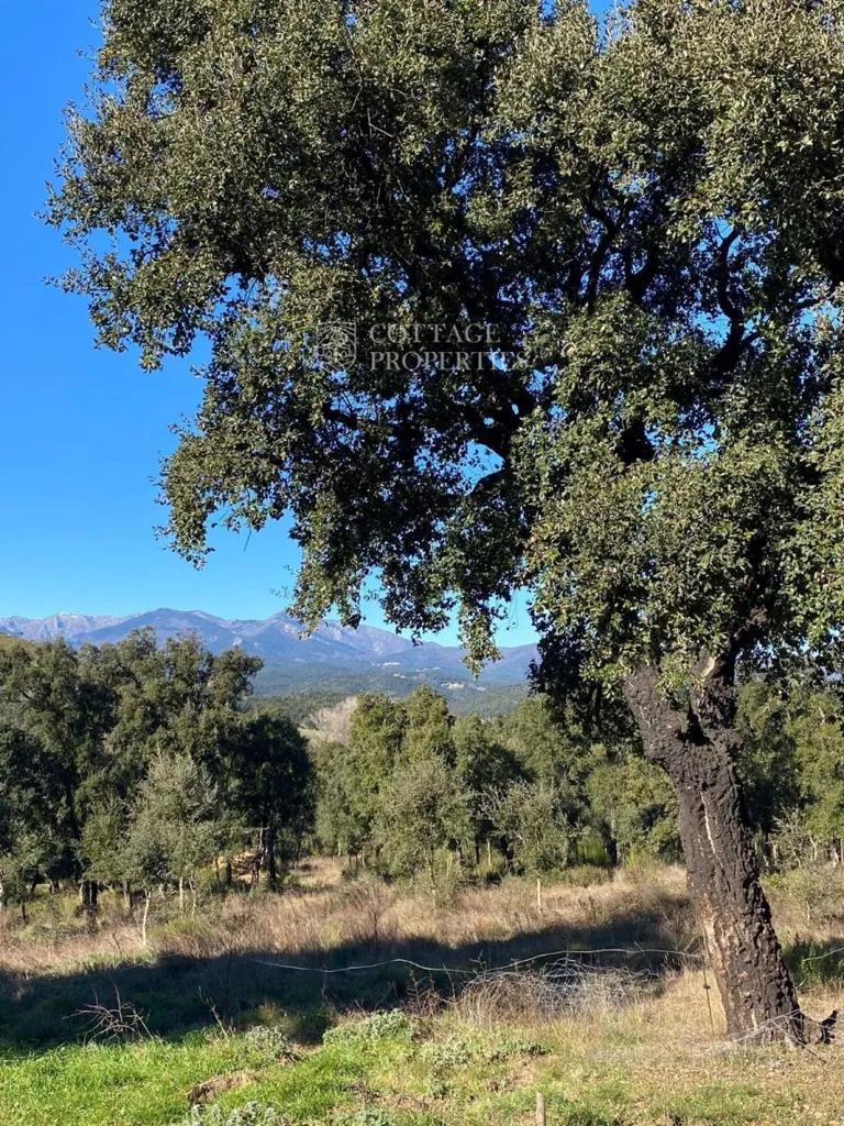 Jardin - Charming Farmhouse with Views in Darnius