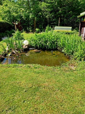 Garden - Weekend Plot with House in Wutha Farnroda
