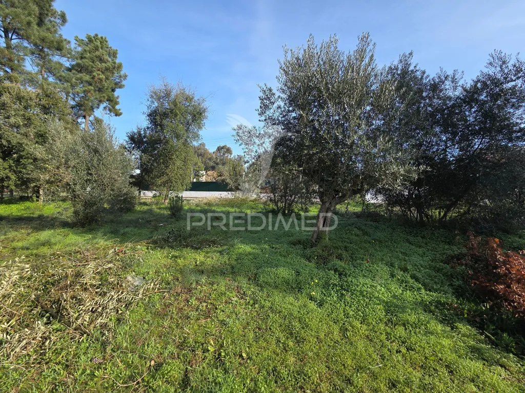 Aed - Urban Plot with Construction Permit in Ribatejo