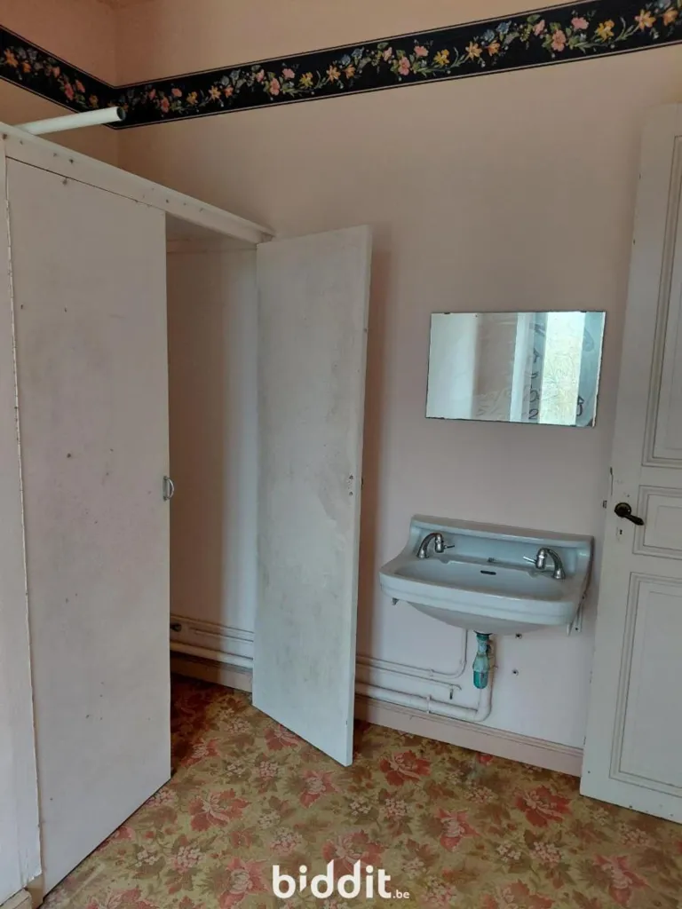 Vannitoad - Renovatable House with Garden in Chassé